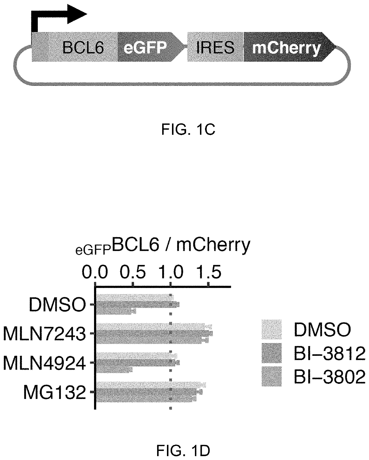 Chemically inducible polypeptide polymerization