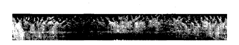 Iris identification method based on odd-symmetric 2D Log-Gabor filter