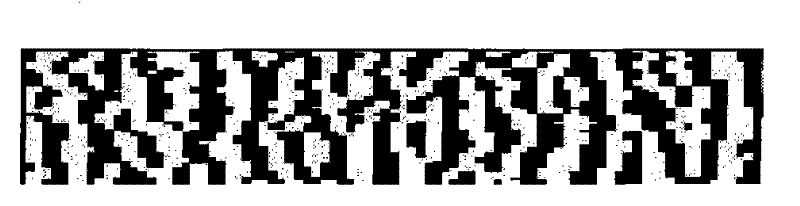 Iris identification method based on odd-symmetric 2D Log-Gabor filter