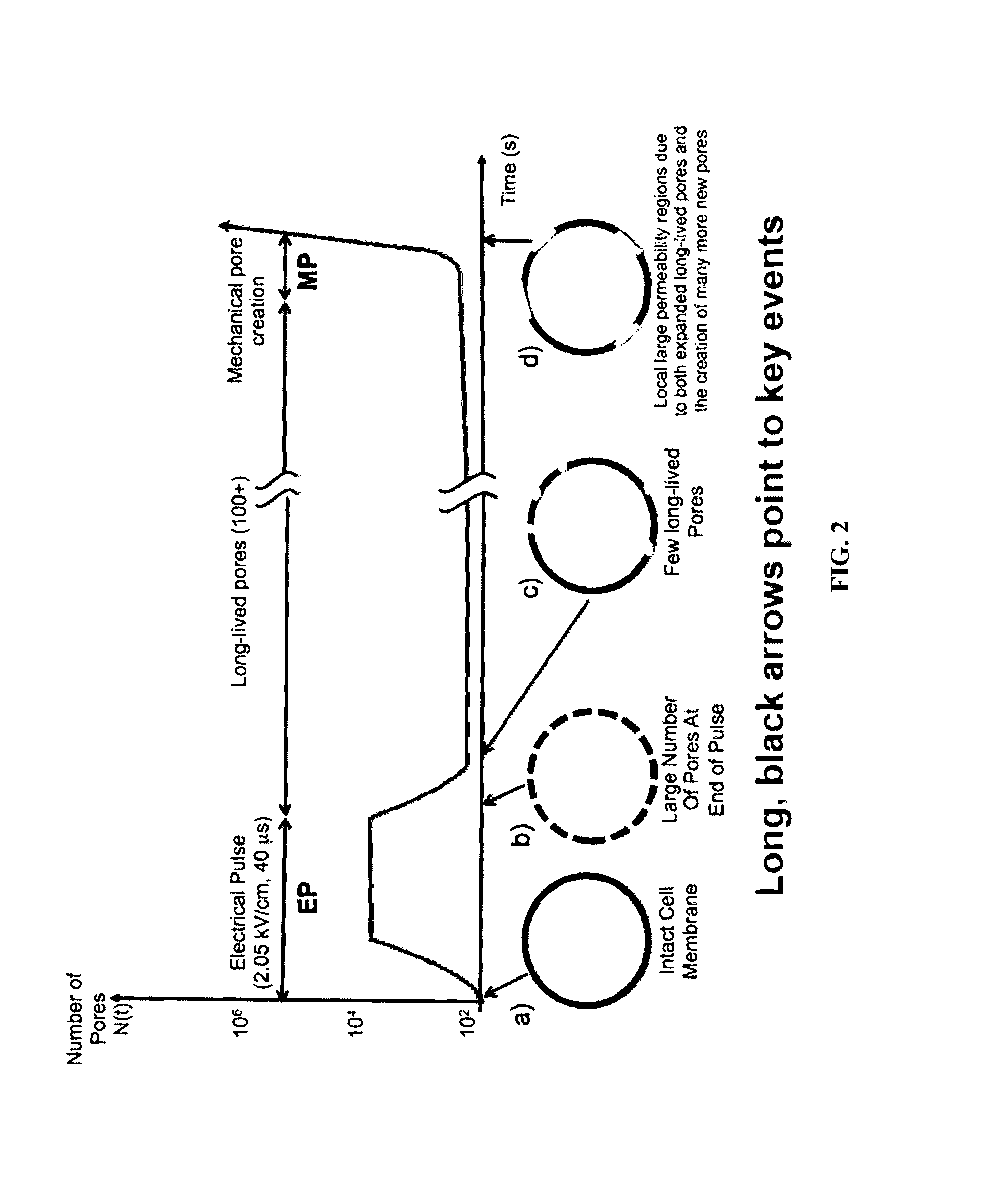 Methods for inducing electroporation and tissue ablation