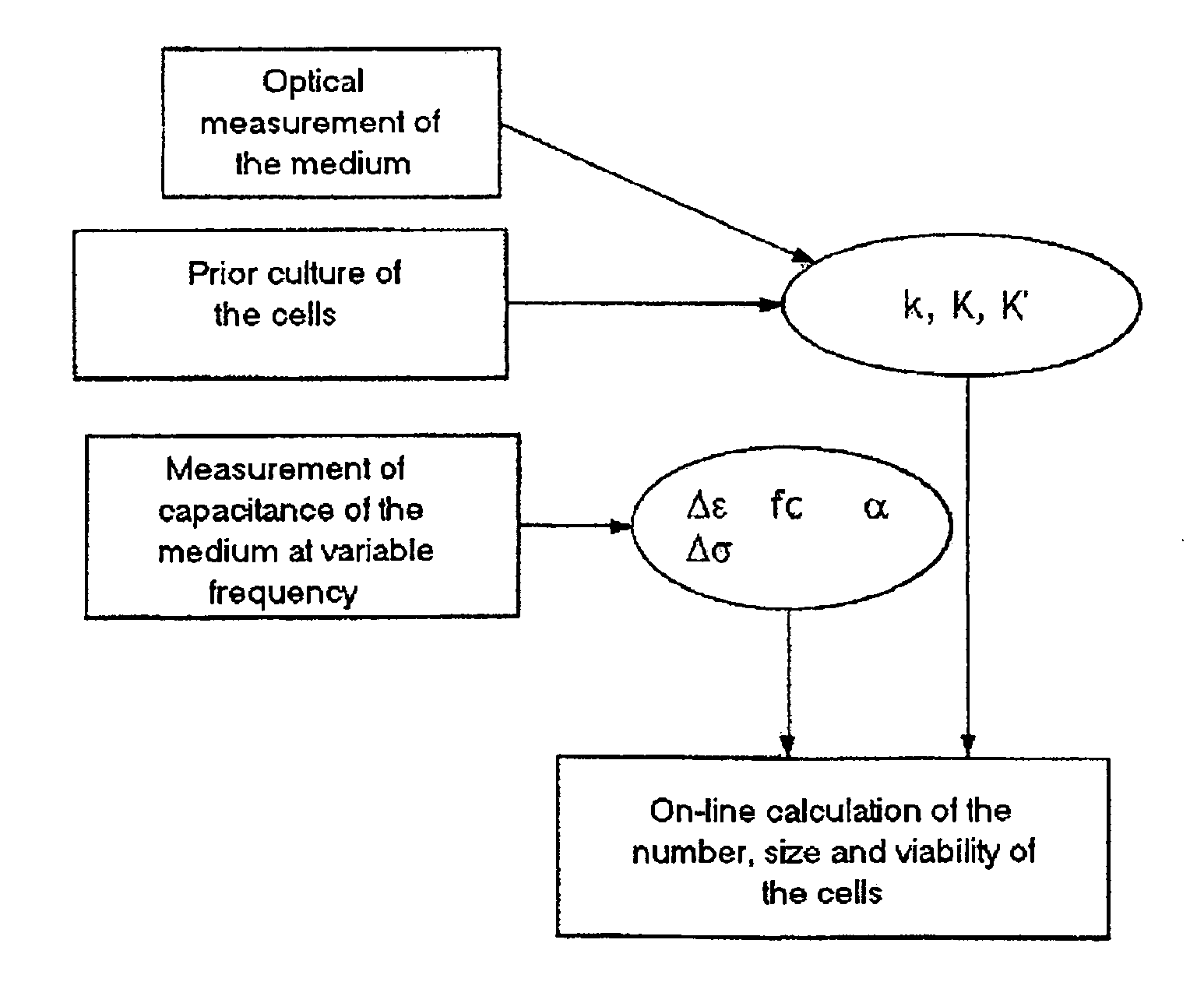 Process and system for on-line and in situ counting of cells in a biological culture medium