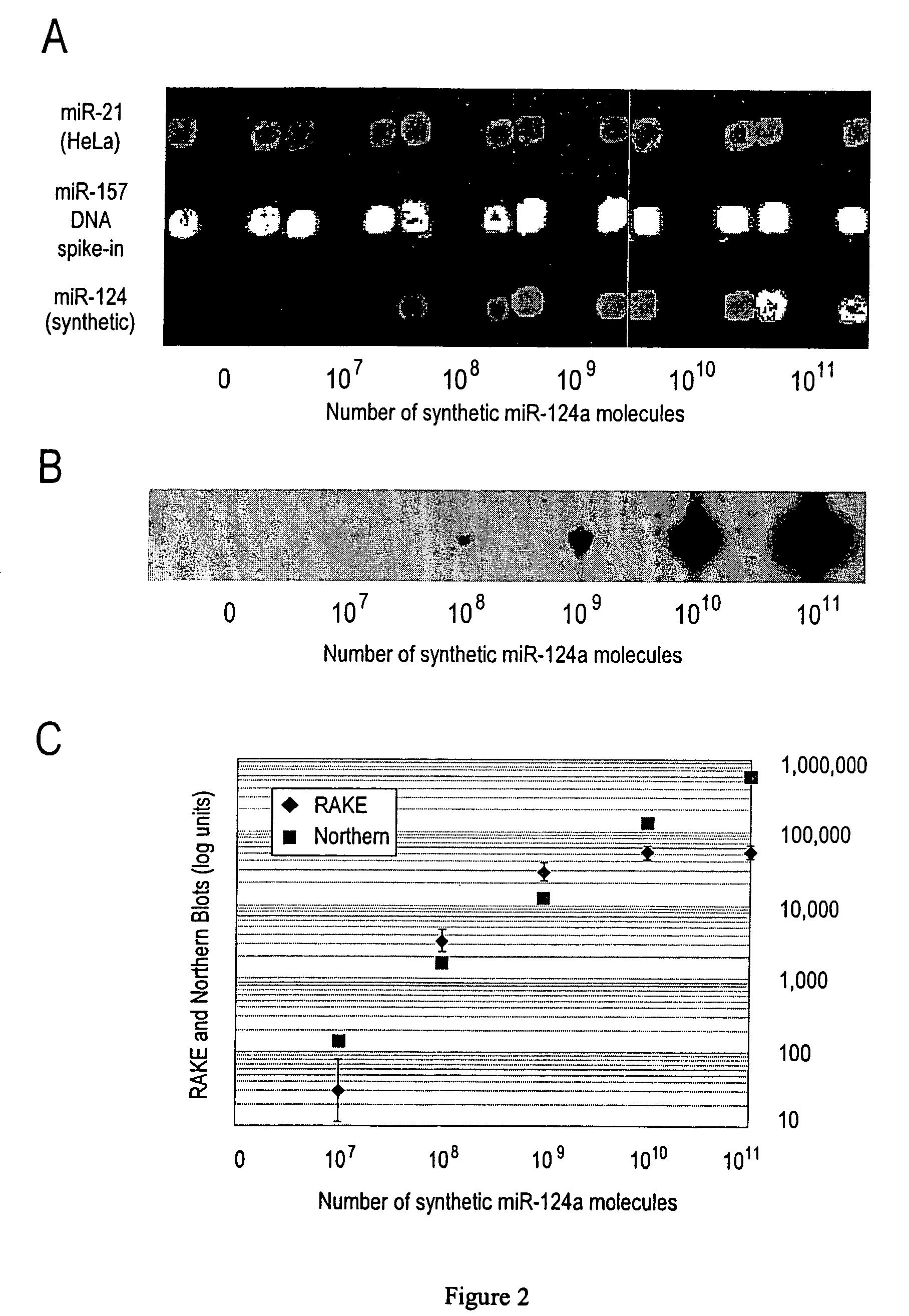 Microarray techniques for nucleic acid expression analyses