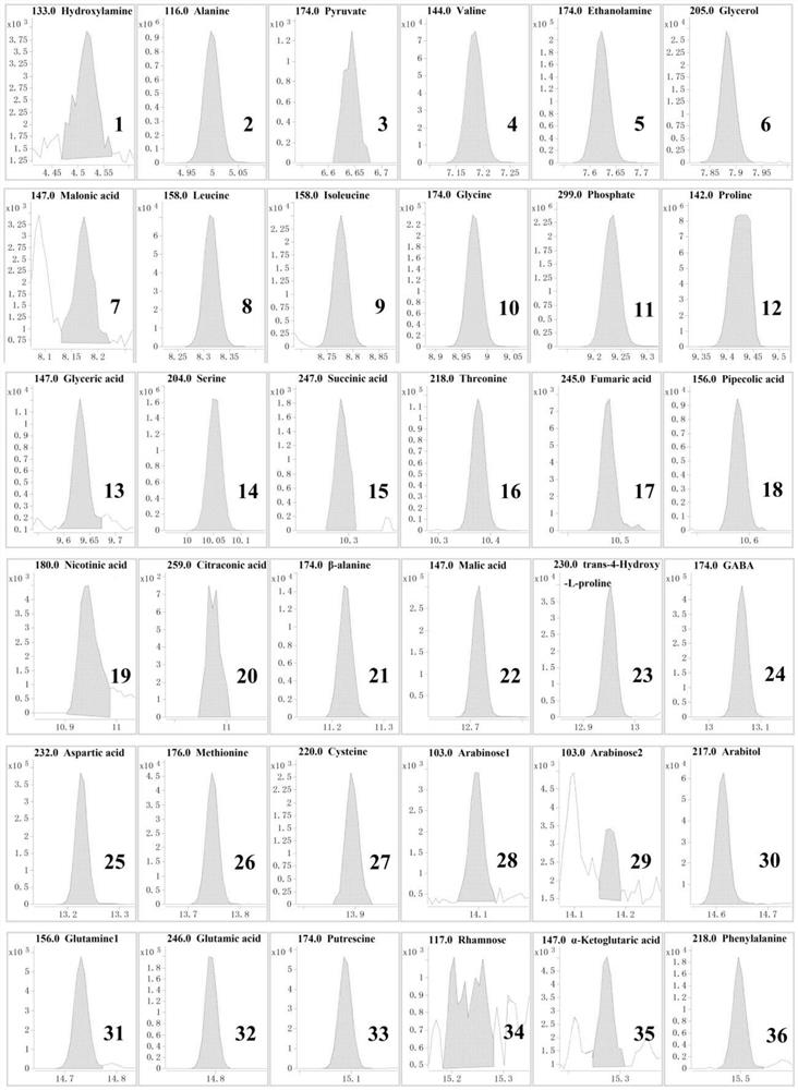 A high-throughput mass spectrometry method for the detection of primary metabolites in maize pollen