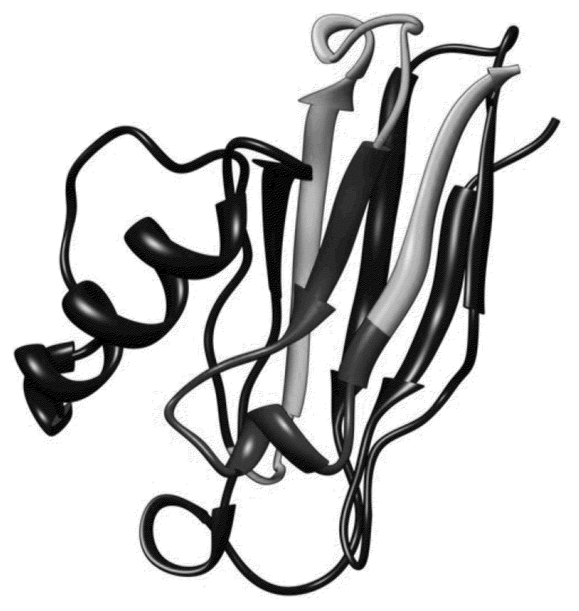 Azuvirin Peptides