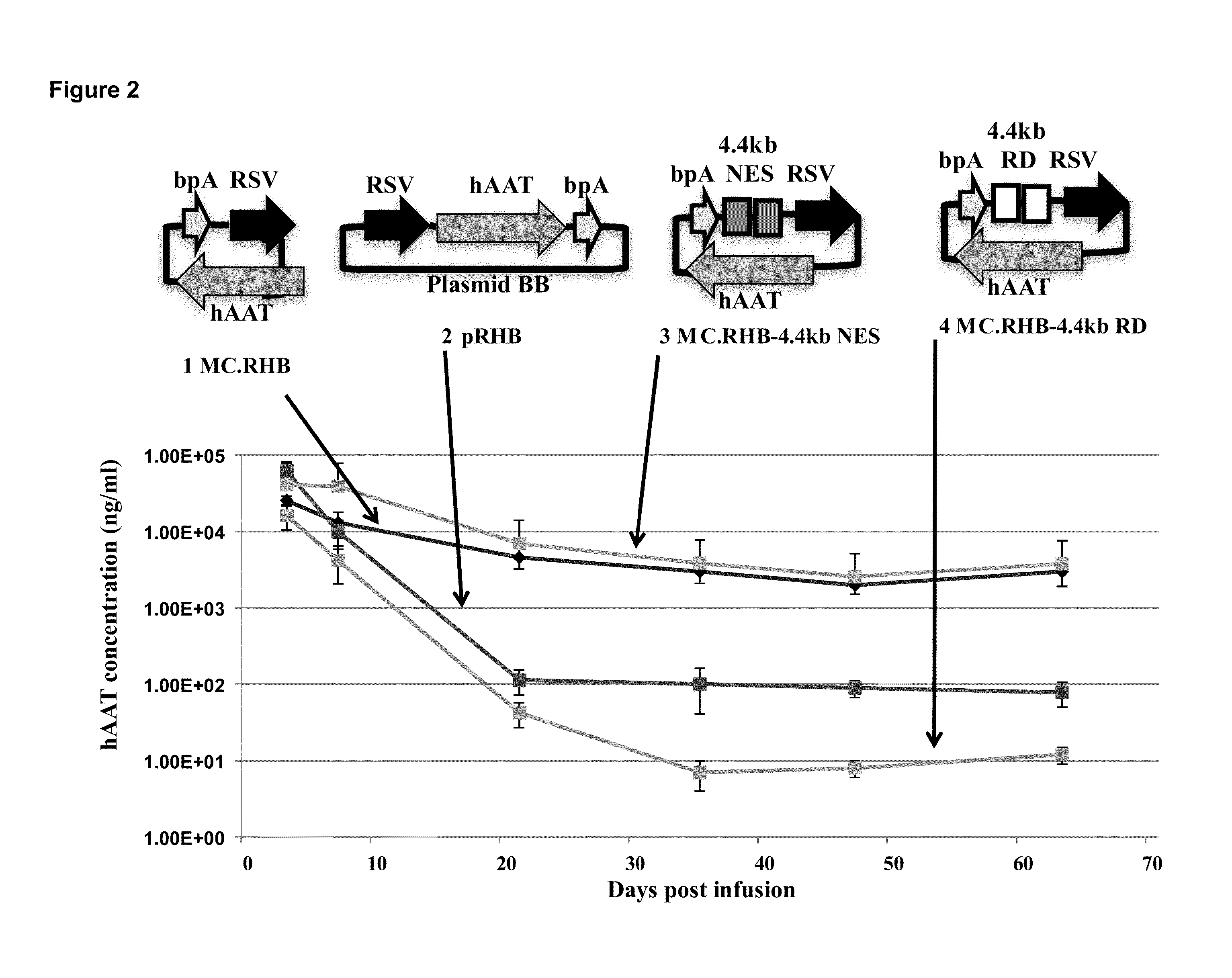 Non-silencing selectable marker genes and methods of use