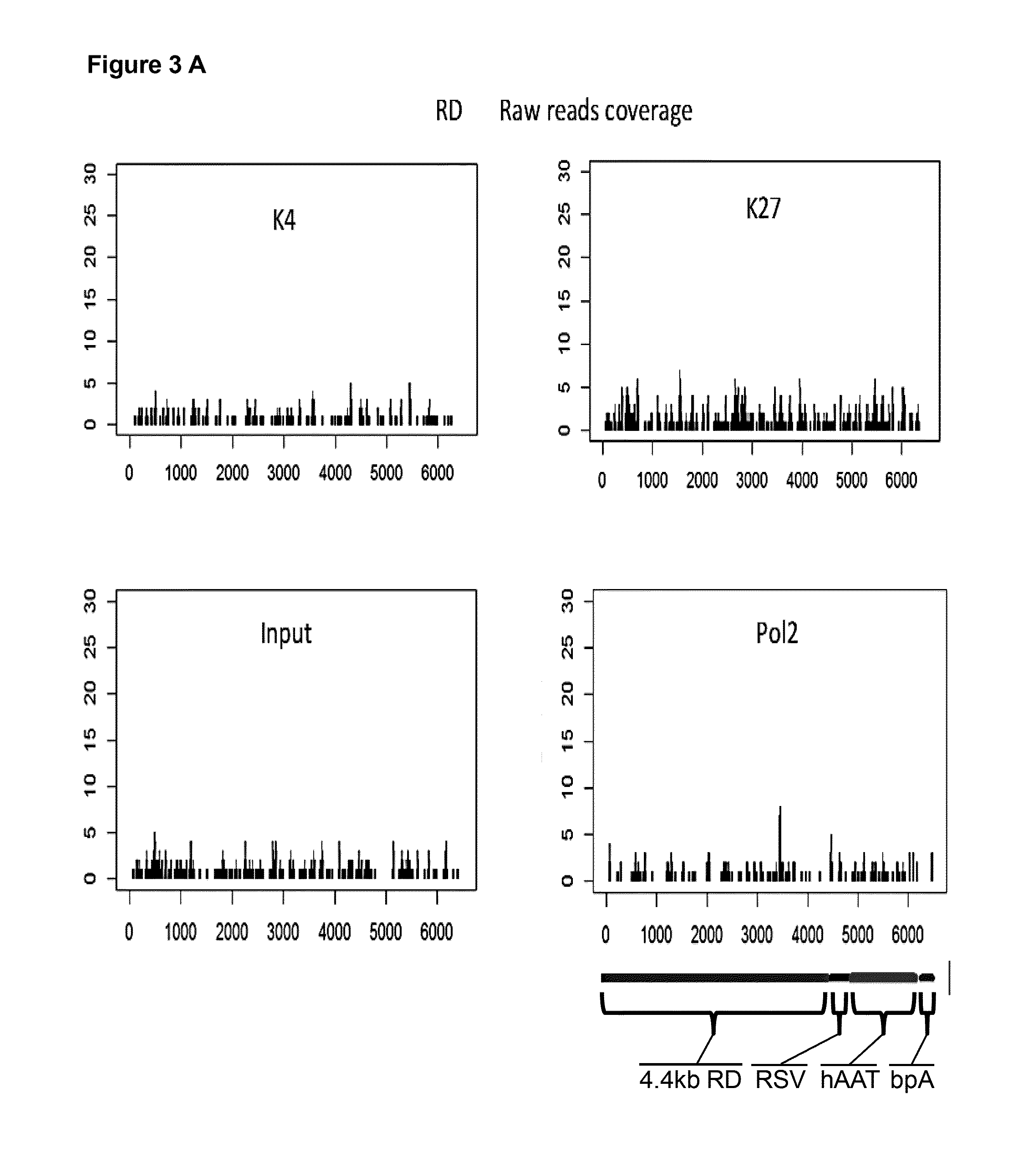 Non-silencing selectable marker genes and methods of use