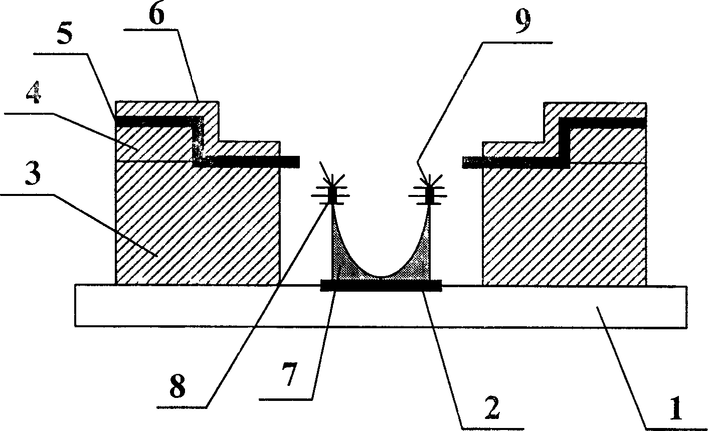 Chrysanthemum type grid control cathode array structural panel display device and its production technique