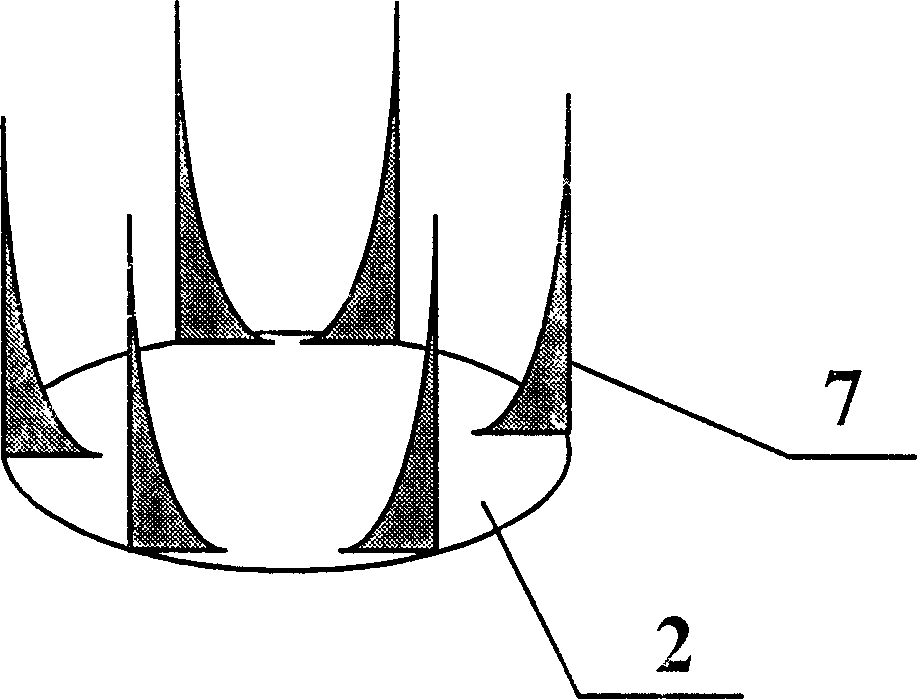 Chrysanthemum type grid control cathode array structural panel display device and its production technique