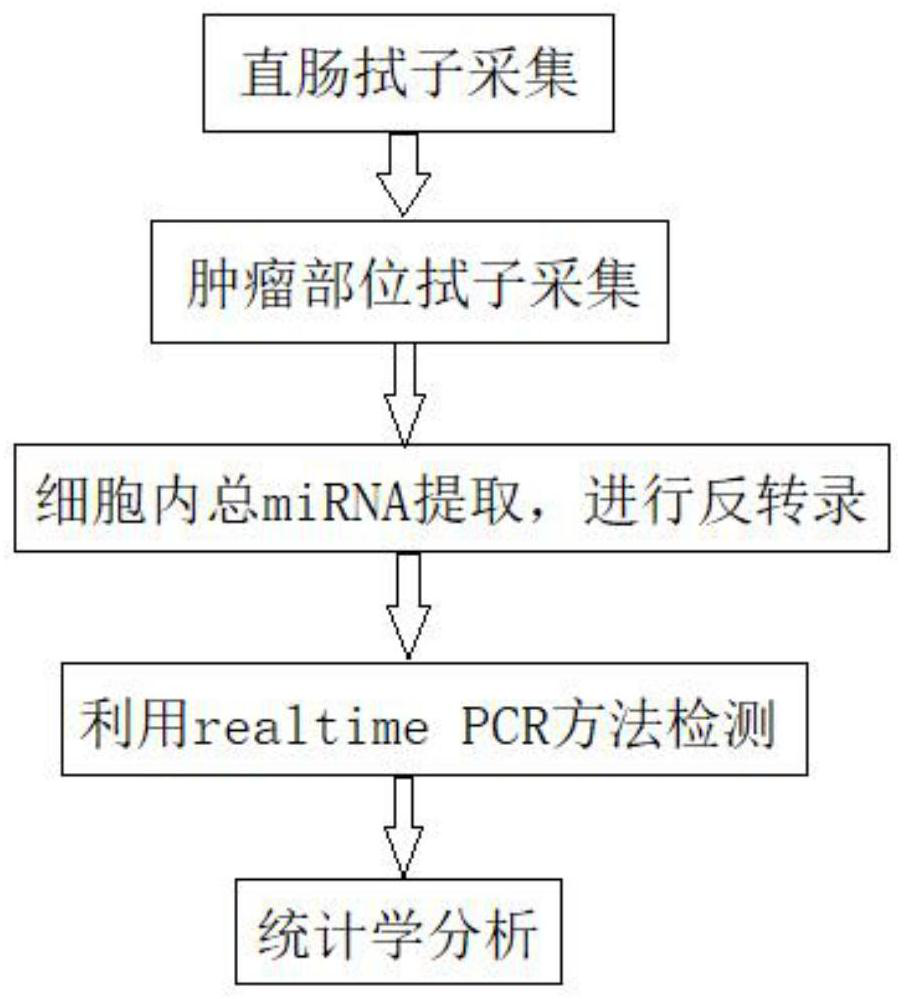 Early screening and diagnosis method for colorectal cancer based on miRNAs of rectal mucosal epithelial cell brushing