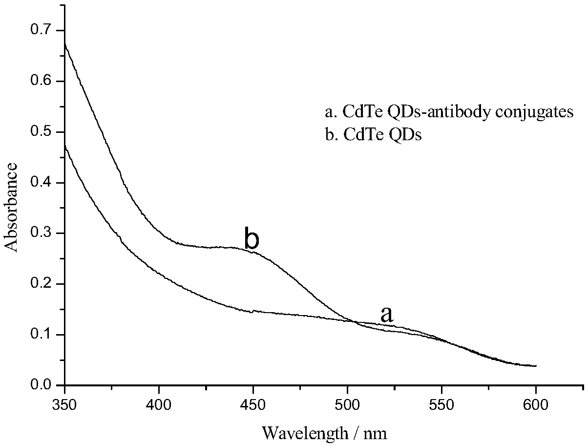 Method for measuring zilpaterol by using CdTe quantum dot