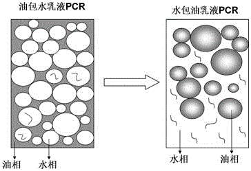 Two-step detection method of PCR (Polymerase Chain Reaction) of emulsion