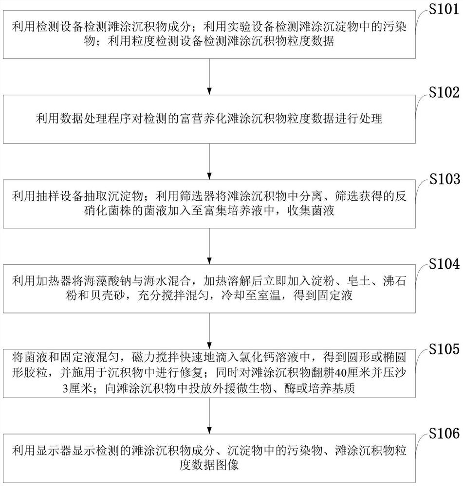 An information processing system and method for eutrophication tidal flat sediment habitat restoration