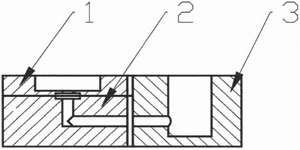 Portable clamping device based on nanopore detection chip in magnetic tweezer system