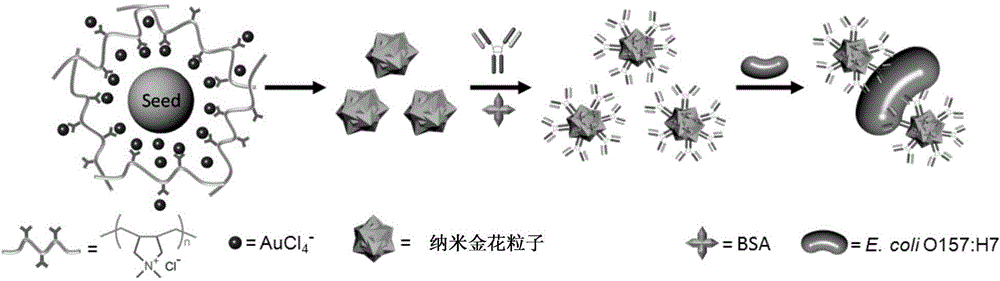 Multistage nano golden flower, preparation method and application thereof