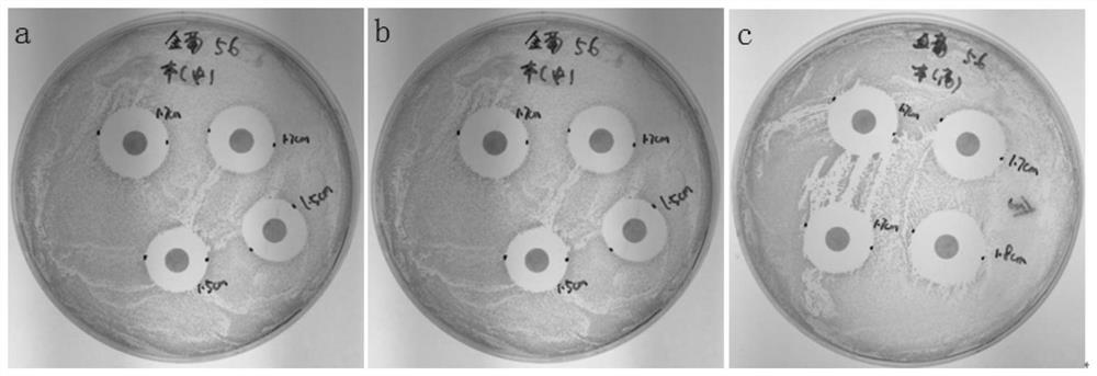 Virus transport medium and its preparation method and application