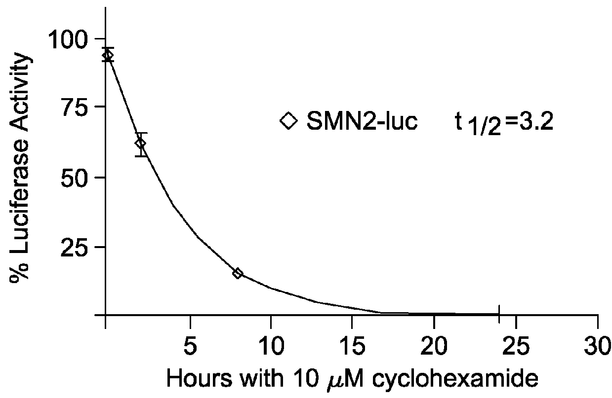 Compounds for use in screening methods for spinal muscular atrophy