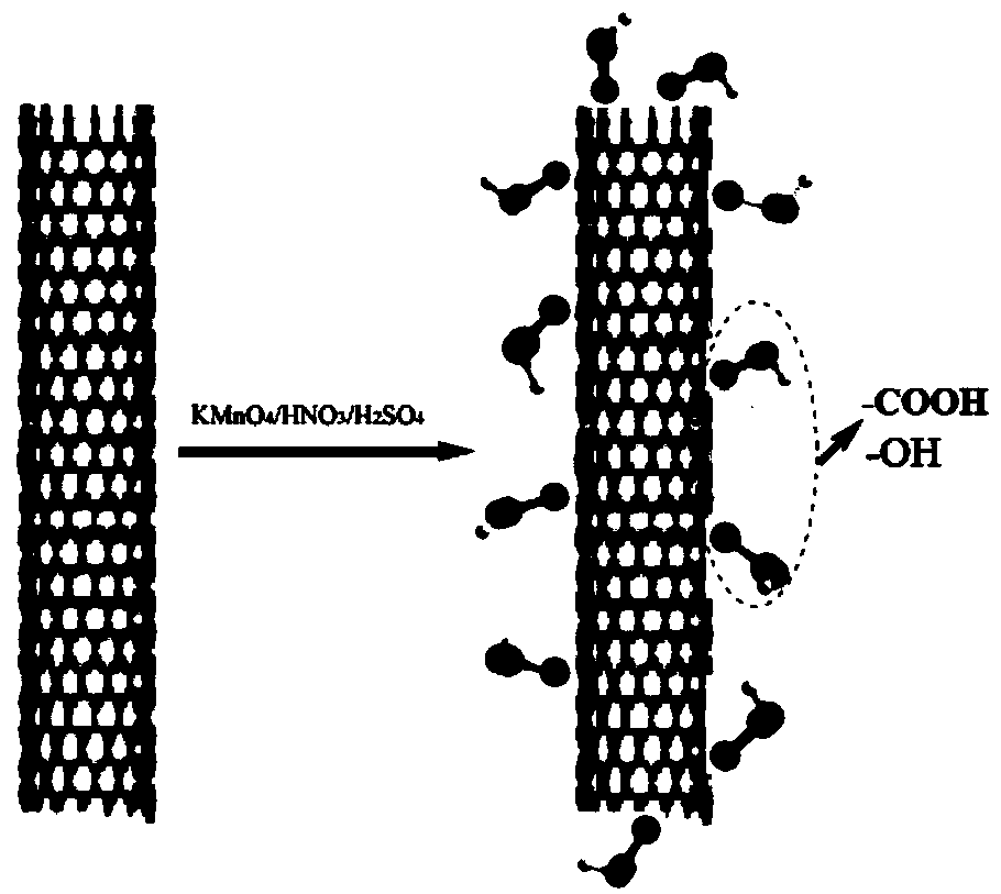 Method for preparing aligned carbon nanotube on surface of polymeric membrane