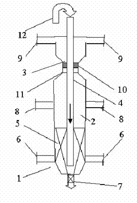 Device and method for producing hydrogen by biomass