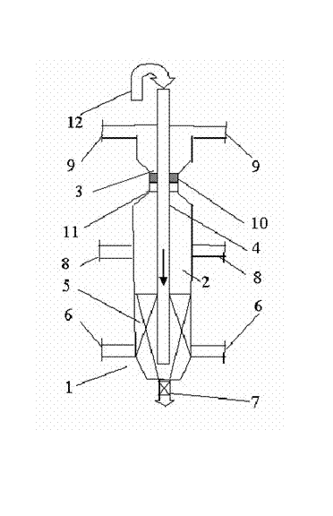 Device and method for producing hydrogen by biomass