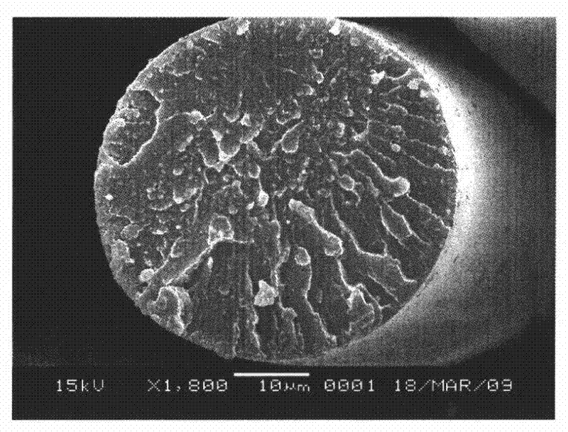 Method for preparing pre-oxidized polyacrylonitrile fiber by melt spinning