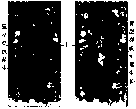 A method of making a transparent material for simulating internal crack propagation in rocks