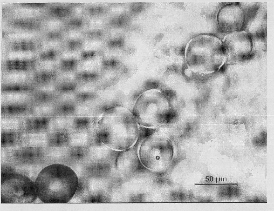 Preparation method of micron-sized polymethylmethacrylate microsphere