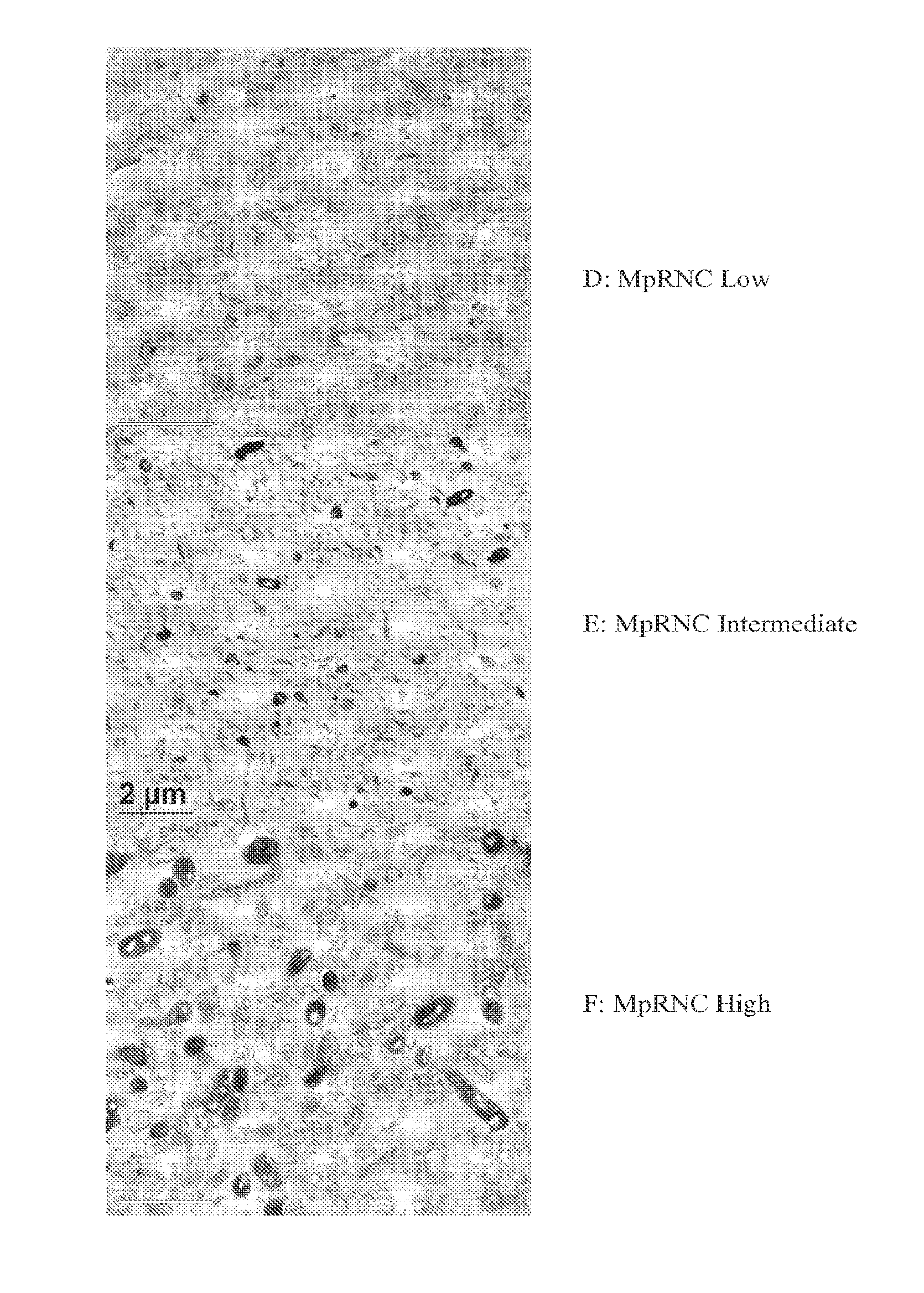Bacterial Ribonucleic Acid Cell Wall Compositions and Methods of Making and Using Them