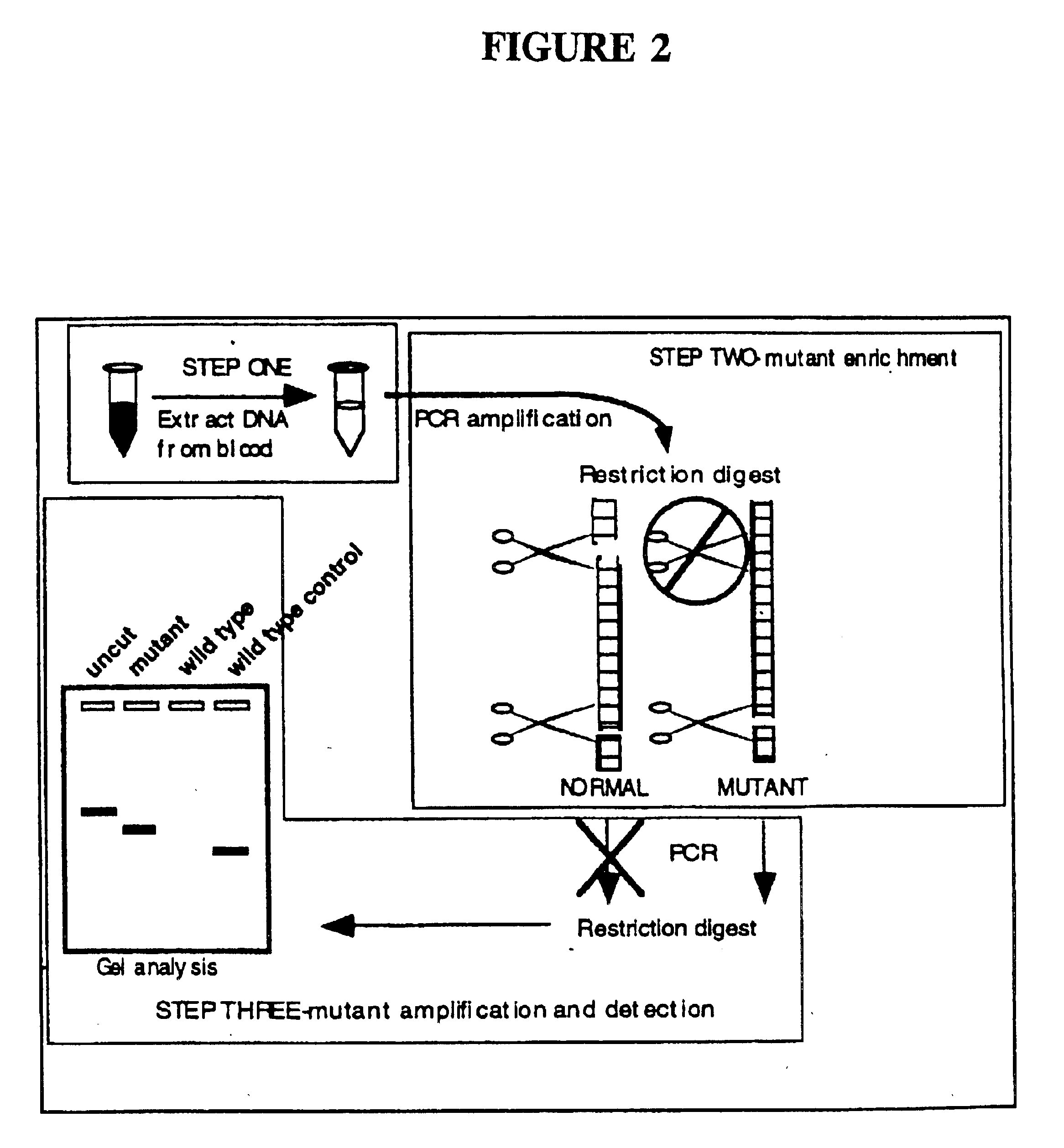 Detection of extracellular tumor-associated nucleic acid in blood plasma or serum using nucleic acid amplification assays