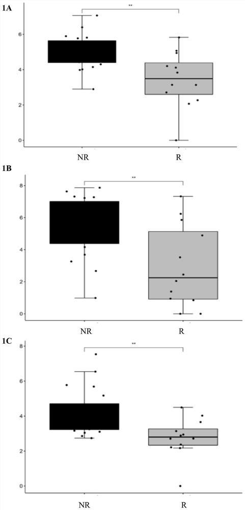 Marker for predicting response of esophageal adenocarcinoma patient to combined treatment and application thereof