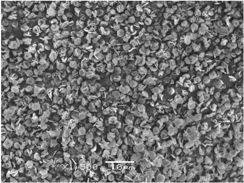 Method for low temperature preparation of basic magnesium carbonate crystal with assistance of absolute ethanol