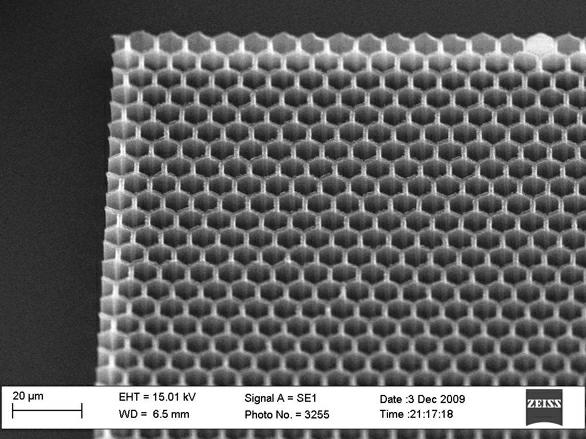 Orientated-growth latticed high-performance carbon nano-tube field emission array