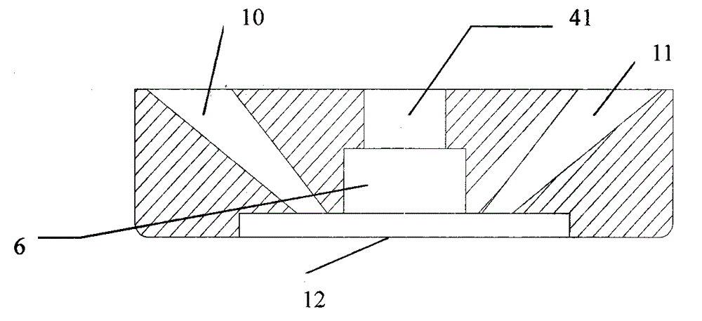 Fluorescent dissolved oxygen online measure device, and dissolved oxygen detection method using it