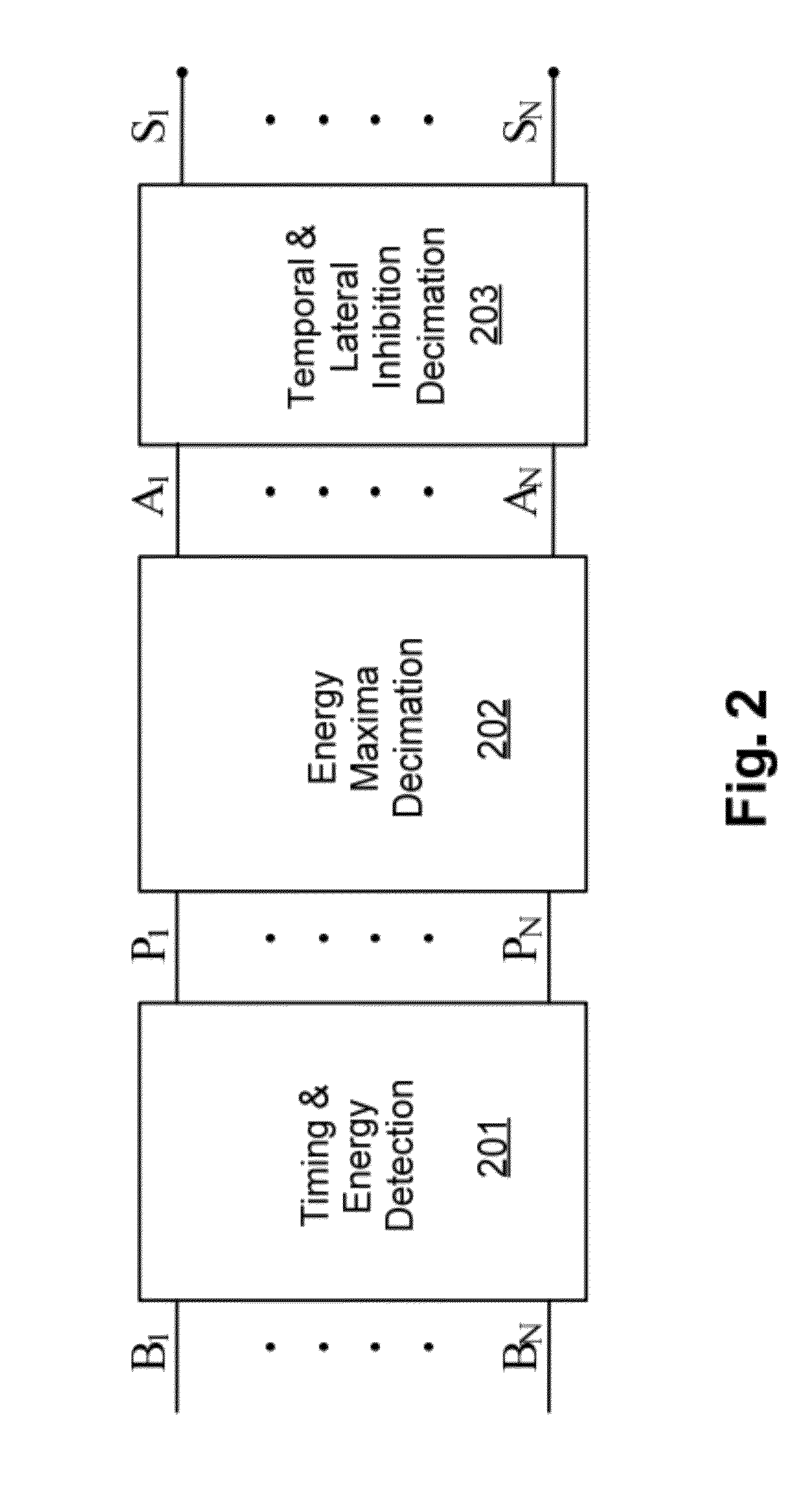 High accuracy tonotopic and periodic coding with enhanced harmonic resolution