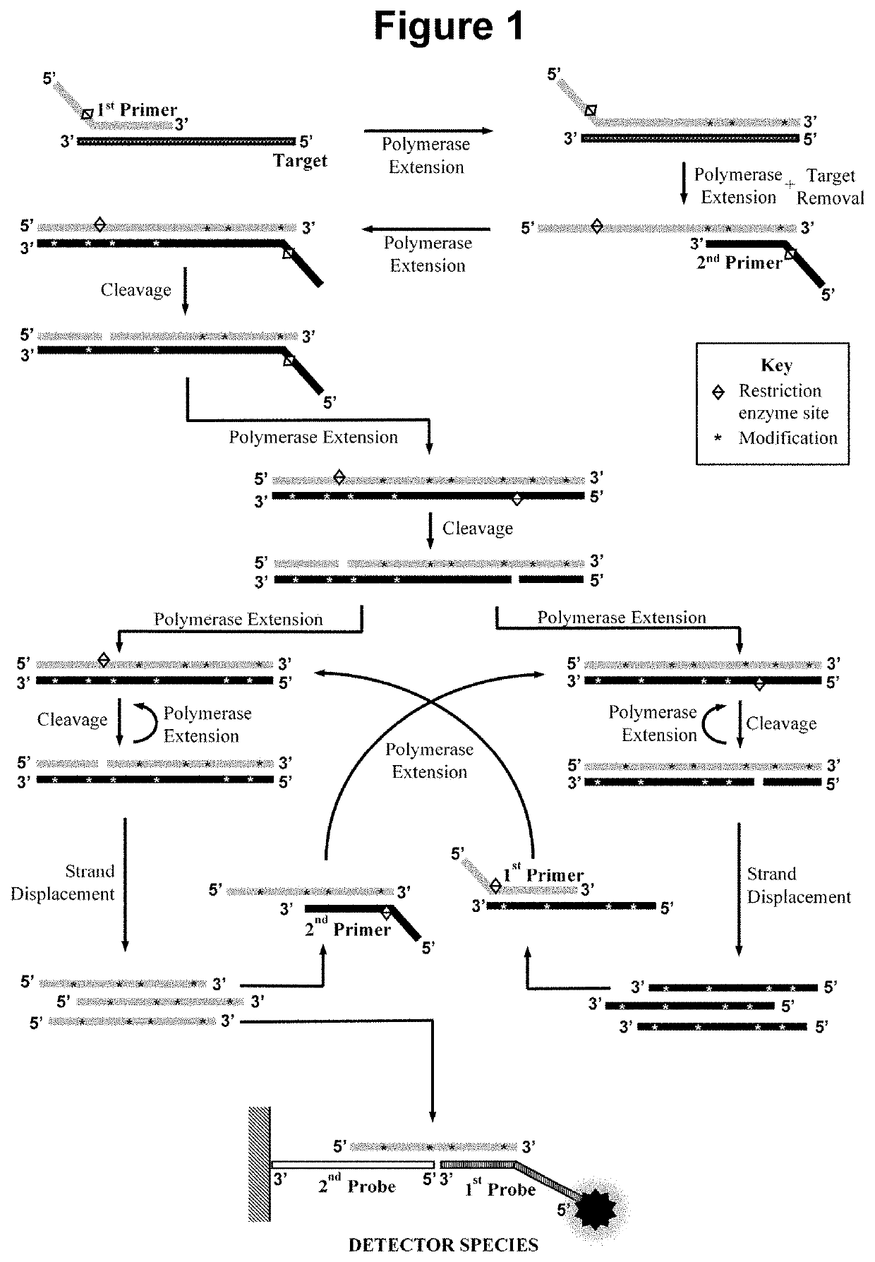 Nucleic acid detection method