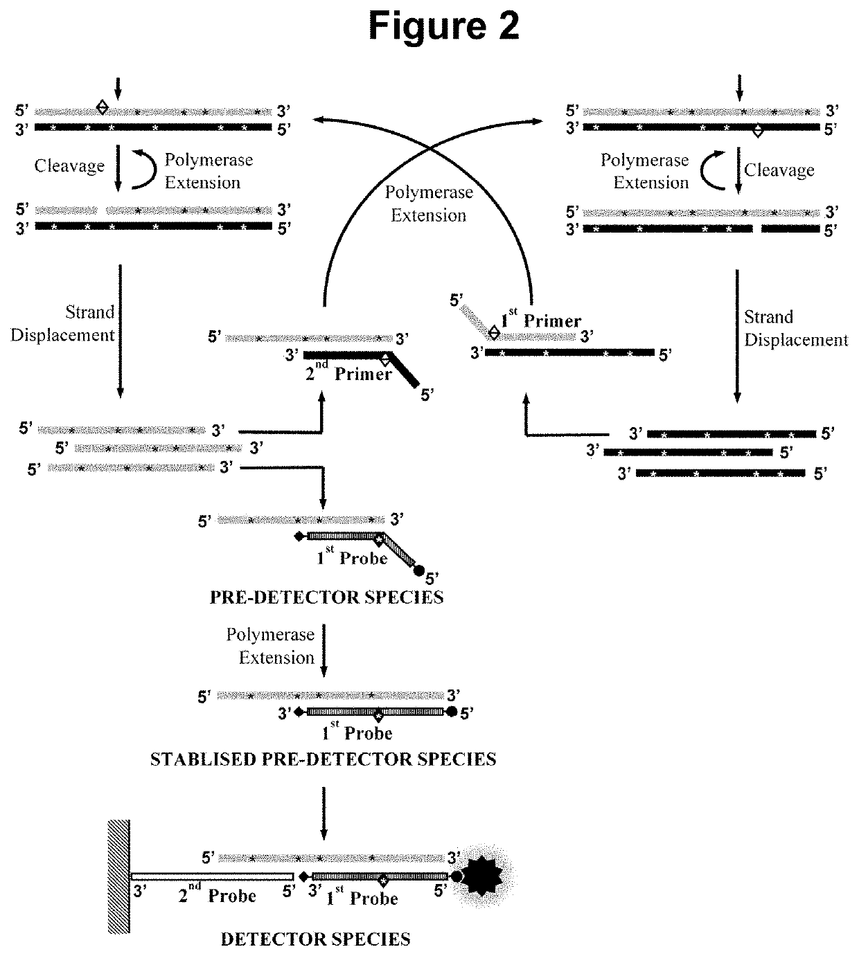 Nucleic acid detection method