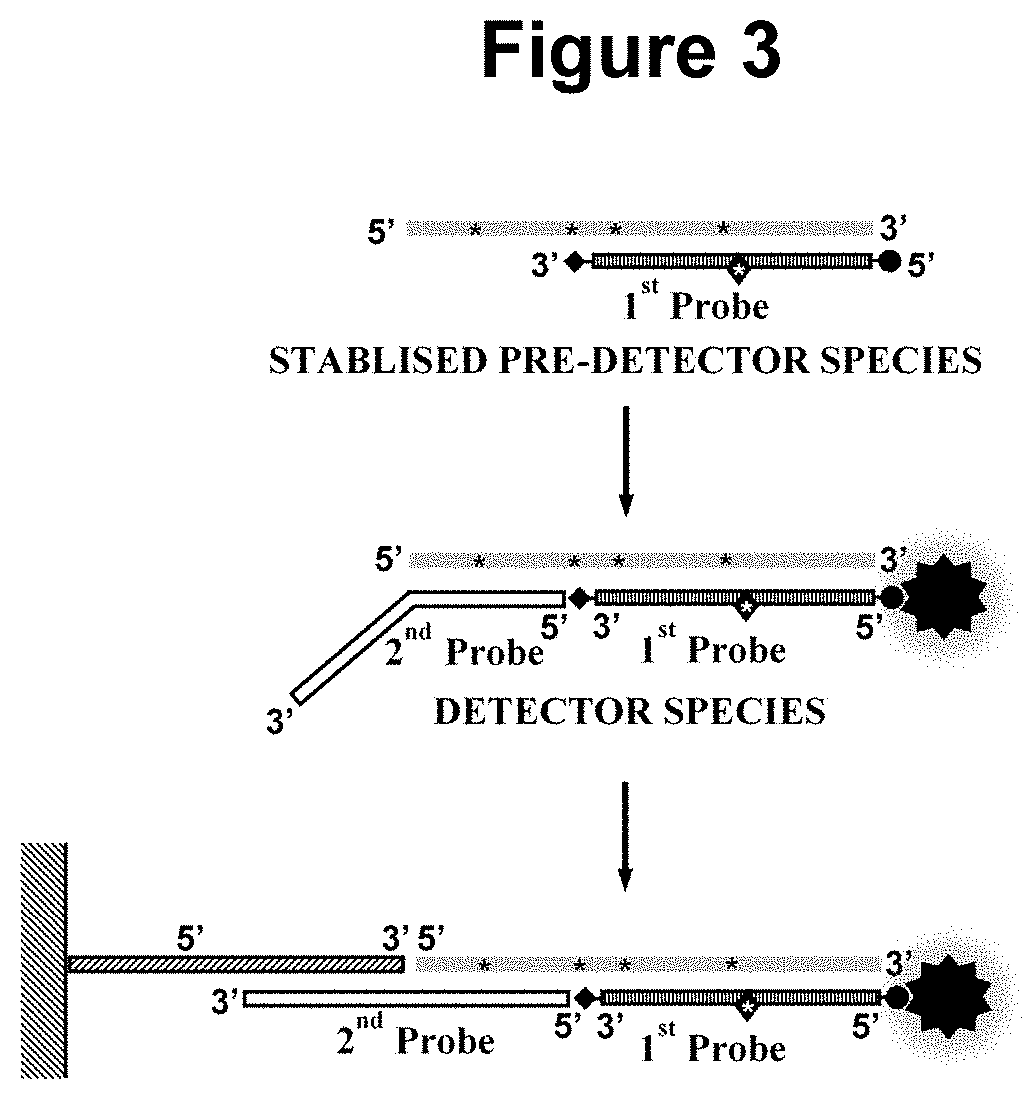 Nucleic acid detection method