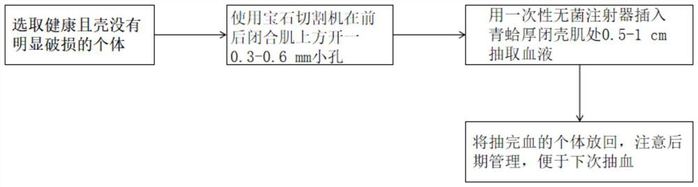 Low-damage shellfish blood drawing method