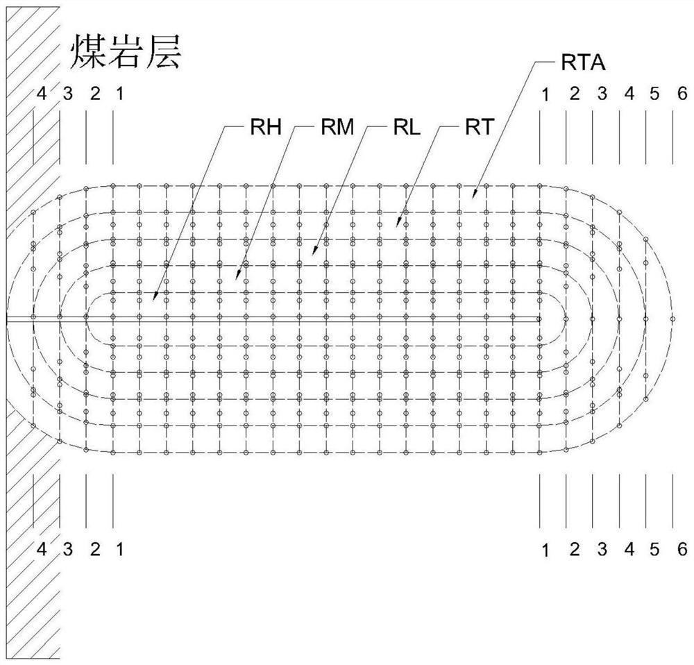 Coal rock flow field in-situ fluorescent bacterium microscopic tracing method