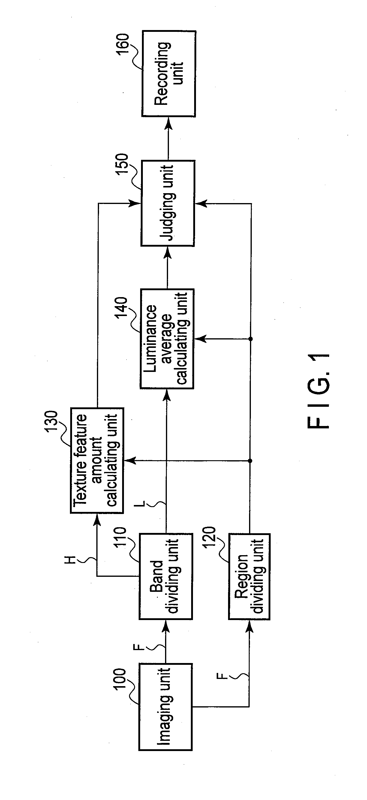 Necrotic cell region detection apparatus and method of the same, and non-transitory computer readable storage medium to store a necrotic cell region detection program