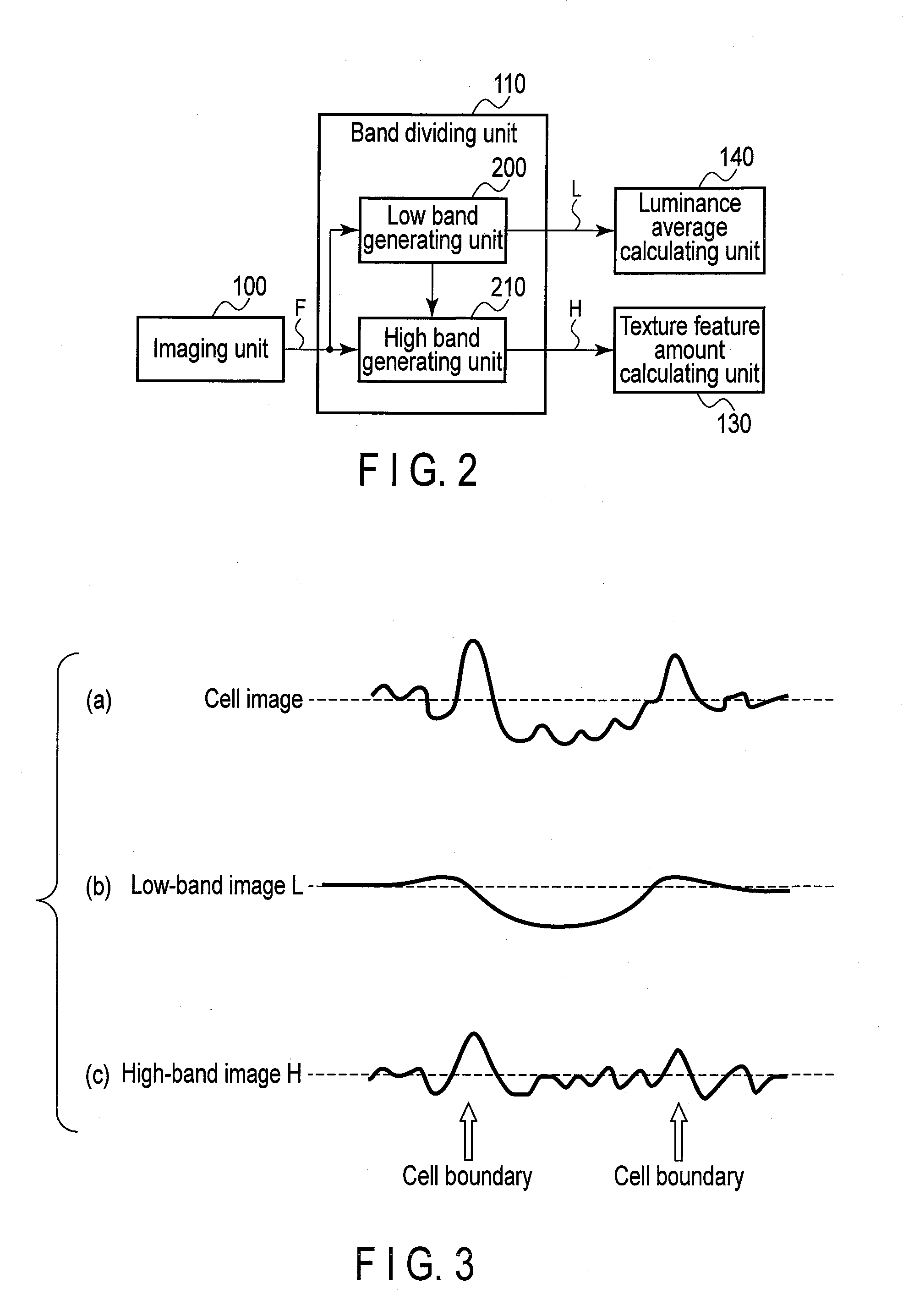 Necrotic cell region detection apparatus and method of the same, and non-transitory computer readable storage medium to store a necrotic cell region detection program