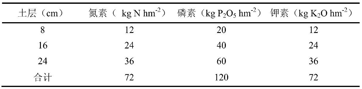 Spatial-temporal coupling regulation method of water and fertilizer supply and demand in winter wheat root layer