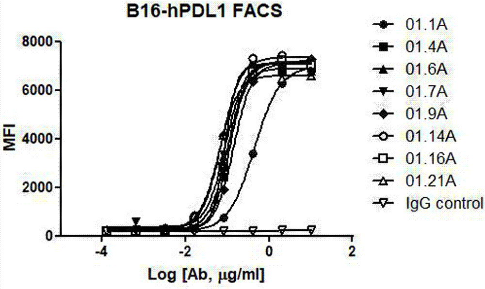 PDL1 monoclonal antibody and application thereof