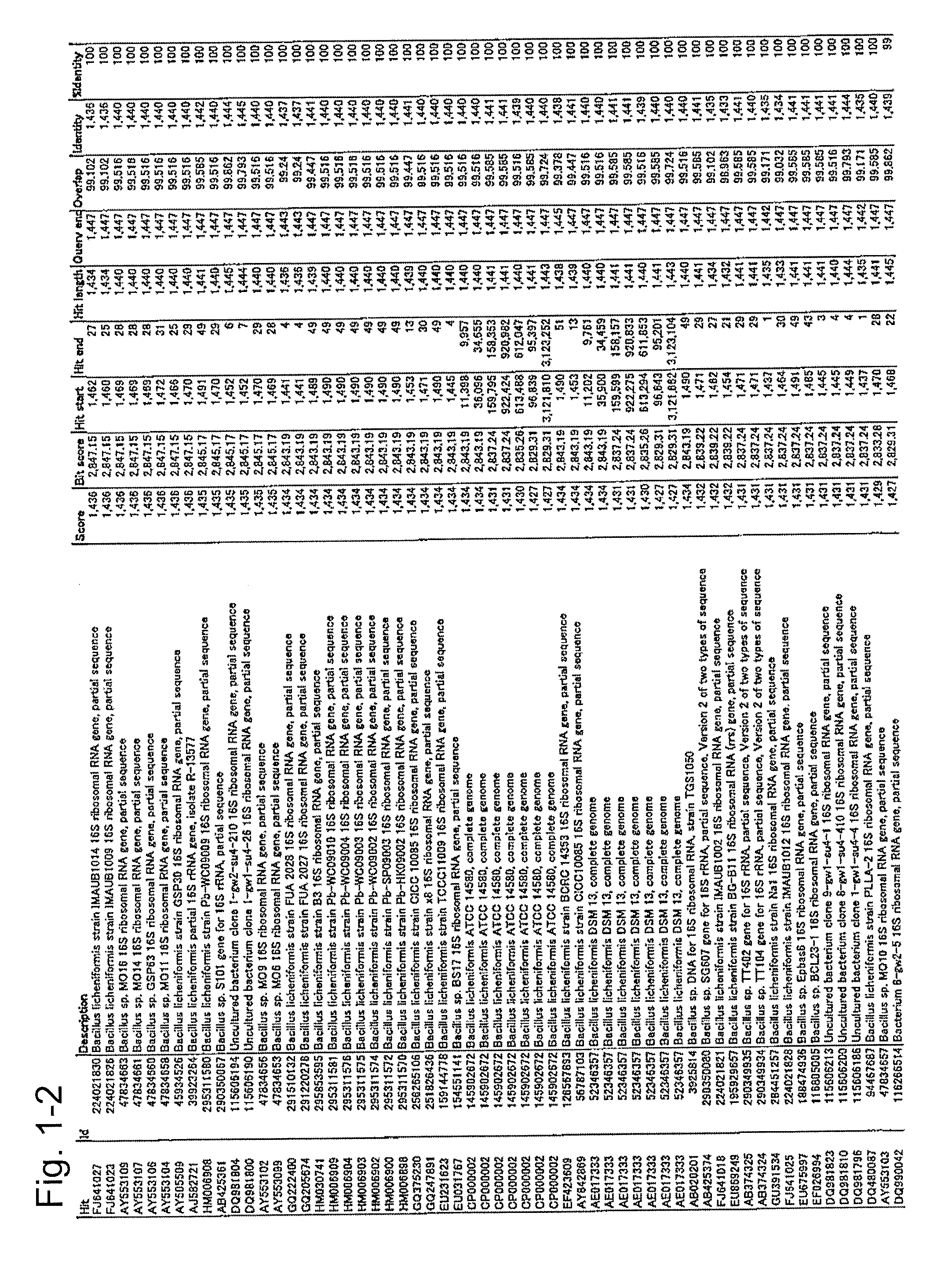 Microorganism and deodorizer containing the same