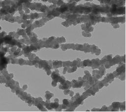 Preparation method for cadmium supported bismuth telluride nanowires