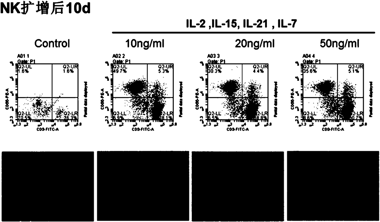 Method for efficient in-vitro amplification of peripheral blood NK cells
