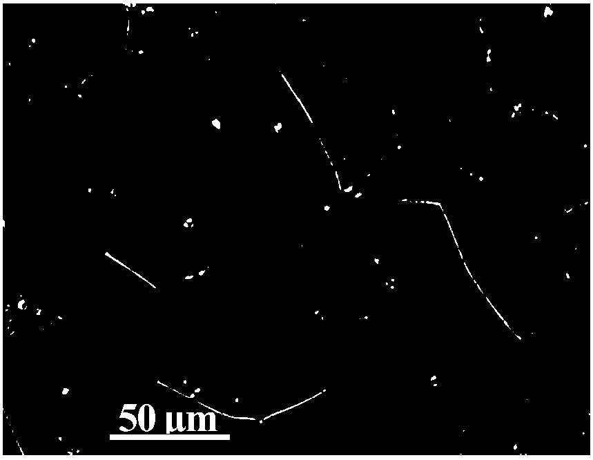 Magnesium alloy chromium-free conversion film homogenizing pretreatment method