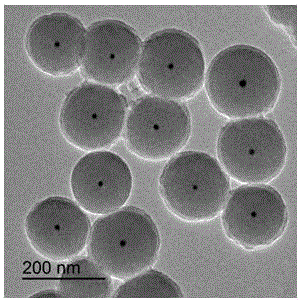 Preparation method of gold/nitrogen-doped hollow carbon nanosphere core-shell material