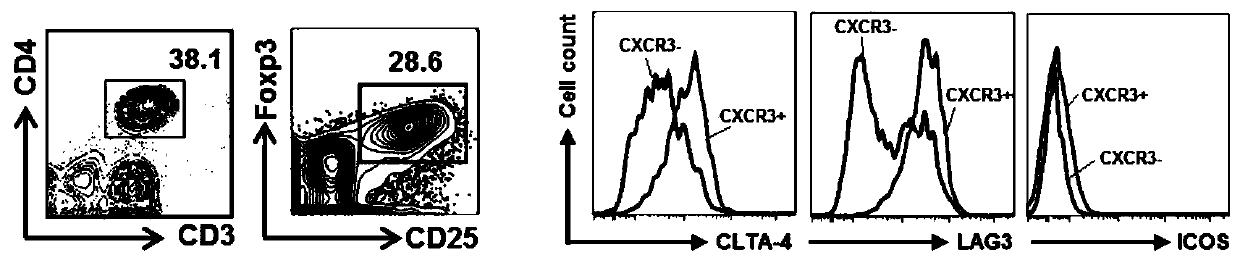 Application of ICOS&lt;+&gt;CXCR3&lt;+&gt; regulatory T cells in preparation of medicine for preventing severe pneumonia