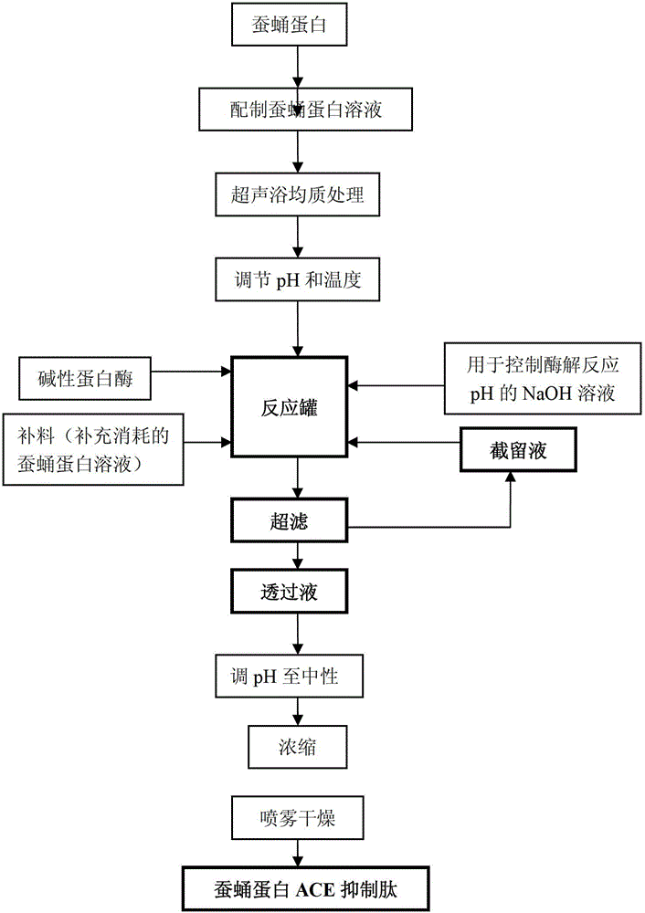 Method for preparing silkworm pupa protein ACE (angiotensin-I converting enzyme) inhibitory peptide by continuous enzyme membrane reaction, and product and application thereof