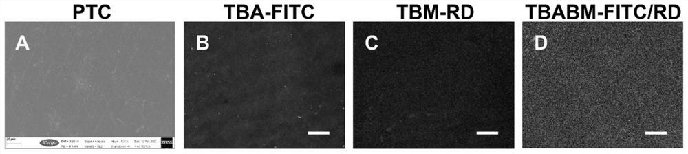 Bone defect repair tissue engineering scaffold and preparation method thereof